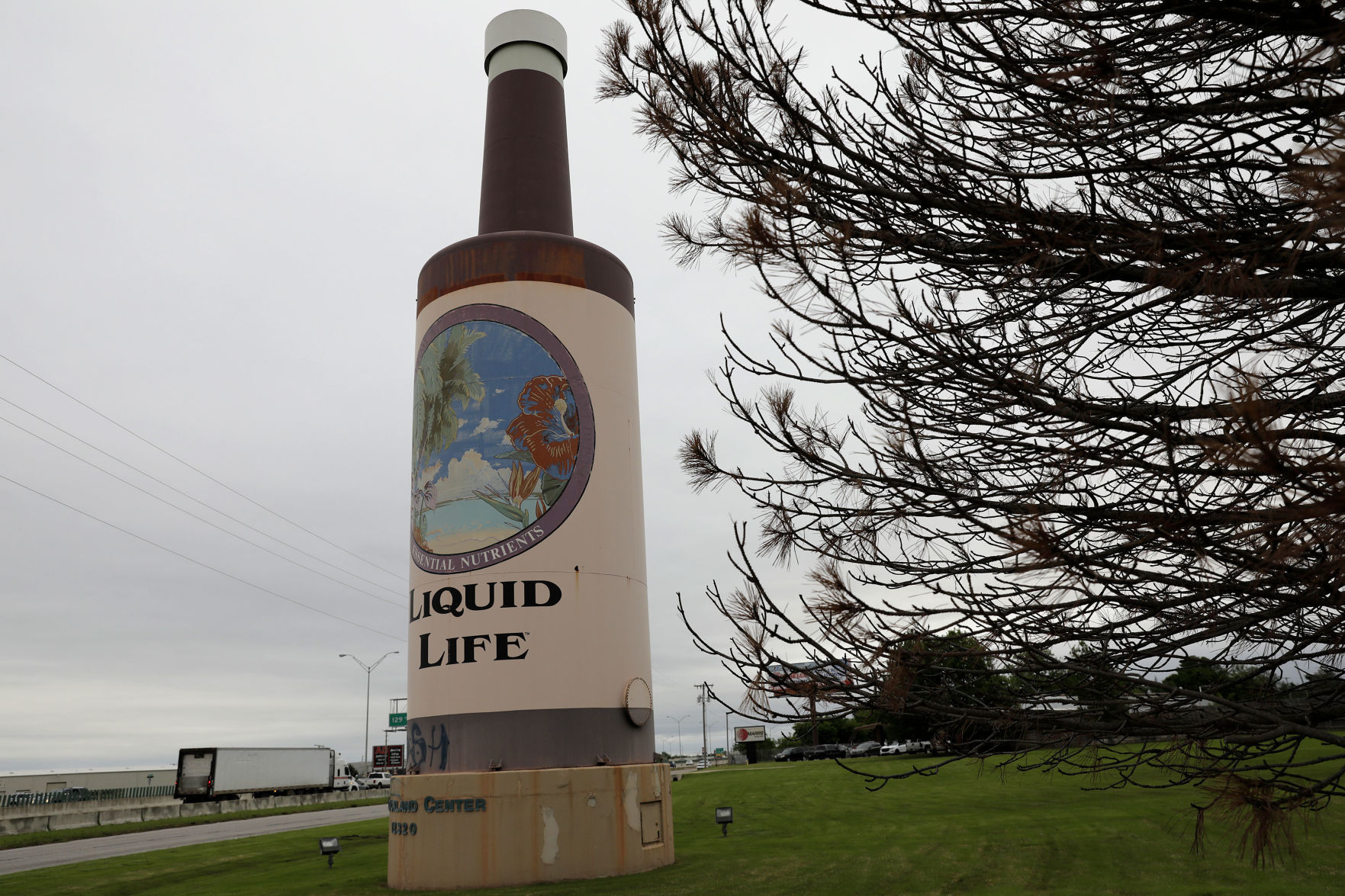Liquid Life